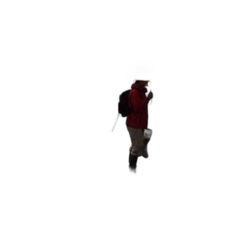 jacket, creature, staff, robot, pixel art, 3d render, concept art, photorealistic transparent PNG cut-out