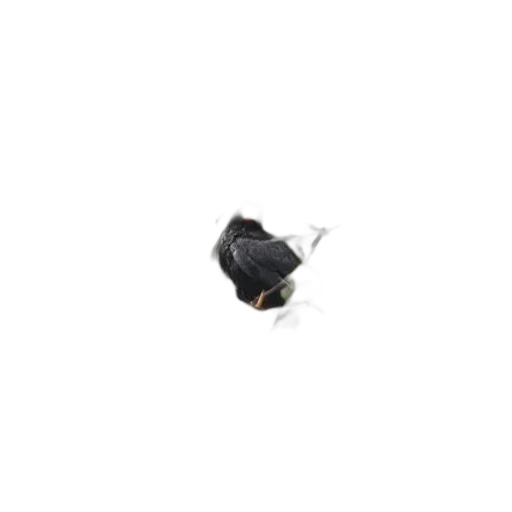 hat, umbrella, shoes, animal, 3d render, photorealistic, pixel art, concept art transparent PNG cut-out