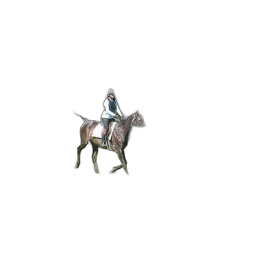 sword, crown, animal, staff transparent PNG cut-out