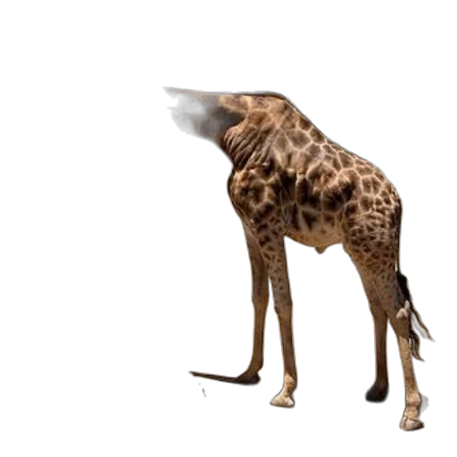 animal, creature, staff, umbrella, concept art, 3d render, photorealistic, pixel art transparent PNG cut-out