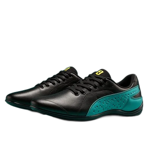 shoes, ferrari, future, cat, mens, racing, black, teal transparent PNG cut-out