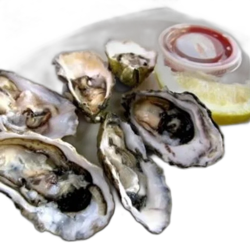food, jewelry, animal, photorealistic, 3d render, plate, oysters, side transparent PNG cut-out