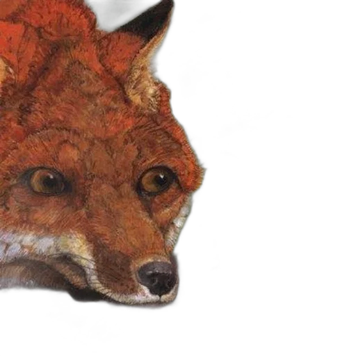 animal, mask, face, hat, watercolor, photorealistic, oil painting, concept art transparent PNG cut-out
