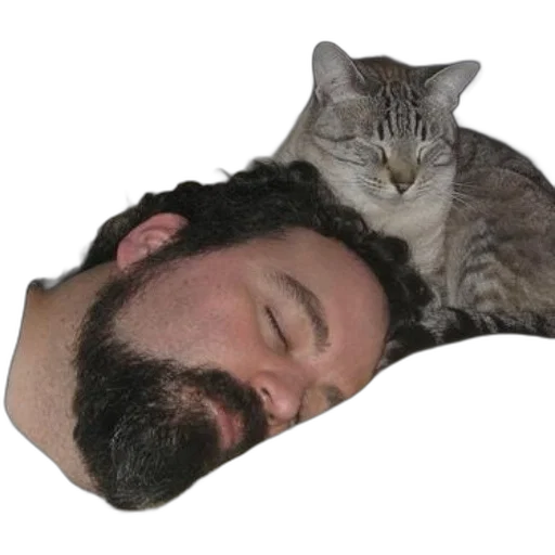 animal, creature, staff, face, photorealistic, man, beard, sleeps transparent PNG cut-out