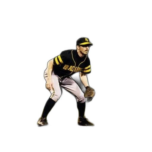 animal, photorealistic, baseball, player, black, yellow, uniform, crouched transparent PNG cut-out
