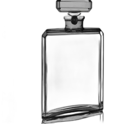 bottle, jewelry, crown, dress, photorealistic, 3d render, pencil sketch, black transparent PNG cut-out