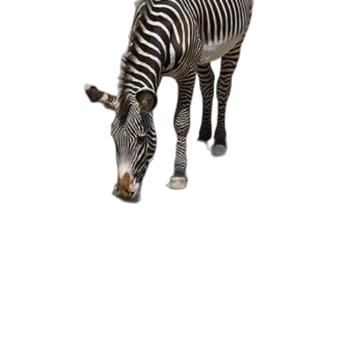 animal, creature, weapon, staff, 3d render, photorealistic, concept art, pixel art transparent PNG cut-out