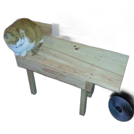 furniture, animal, staff, weapon, 3d render, photorealistic, ginger, white transparent PNG cut-out