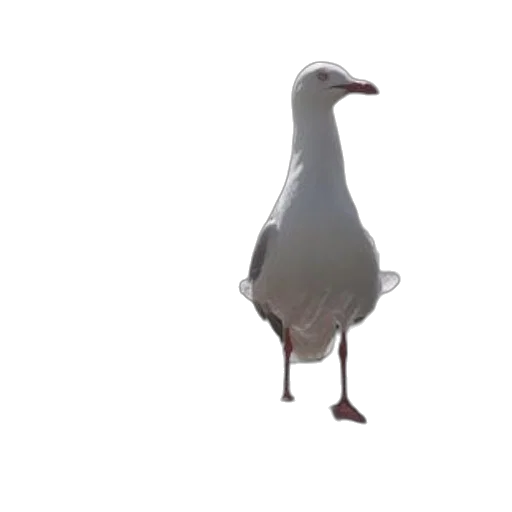 animal, creature, staff, robot, 3d render, concept art, photorealistic, pixel art transparent PNG cut-out