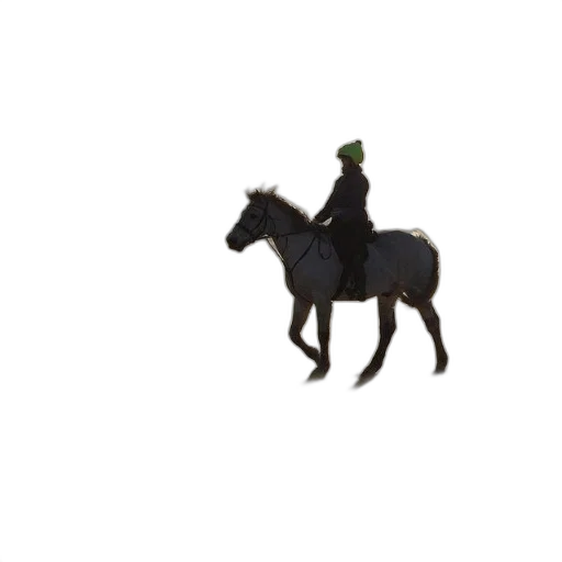 hat, animal, bottle, staff transparent PNG cut-out