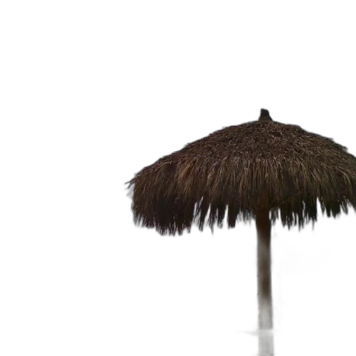 umbrella, hat, hair, staff, 3d render, photorealistic, concept art, rain transparent PNG cut-out