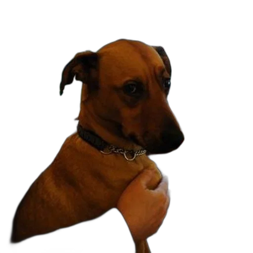 staff, animal, creature, face, photorealistic, 3d render, concept art, oil painting transparent PNG cut-out