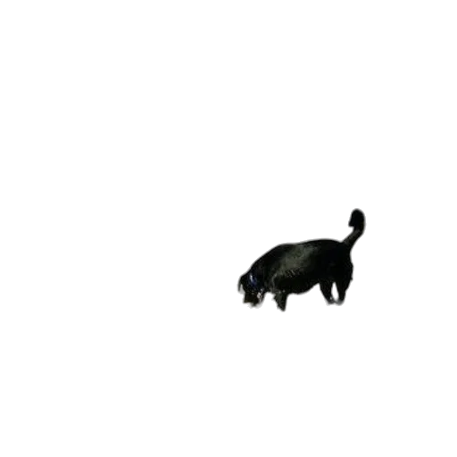 animal, creature, staff, dragon, pixel art, 3d render, photorealistic, concept art transparent PNG cut-out