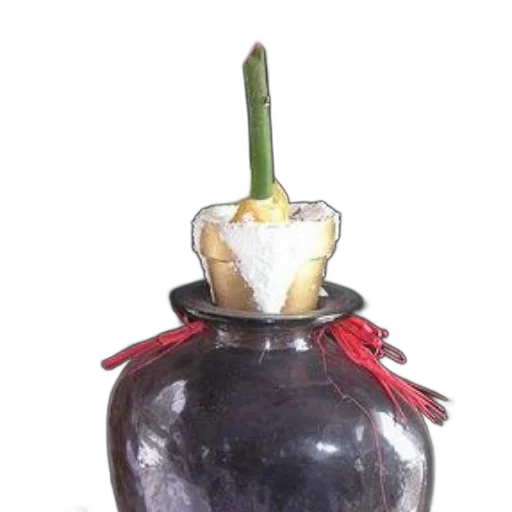 crown, bottle, staff, jewelry transparent PNG cut-out