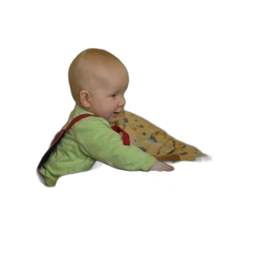 jacket, food, furniture, 3d render transparent PNG cut-out
