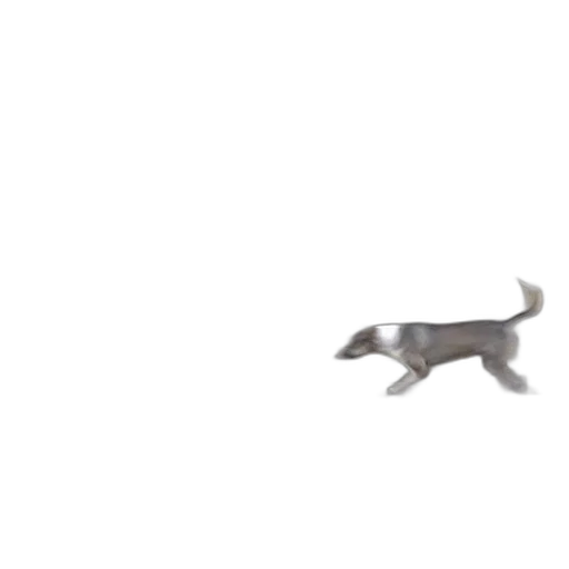 animal, creature, dragon, weapon, 3d render, concept art, pixel art, photorealistic transparent PNG cut-out