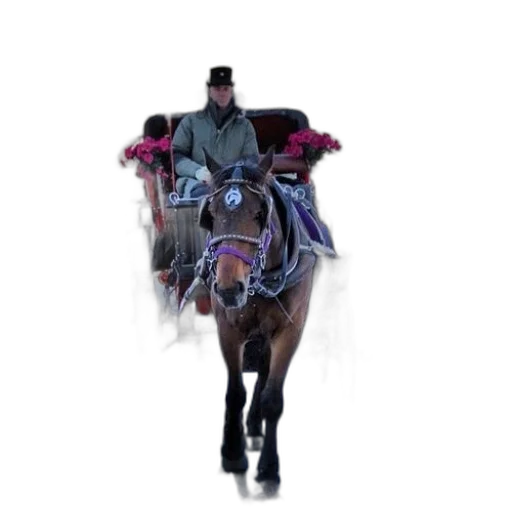 animal, staff, hat, crown, concept art, photorealistic, 3d render, pixel art transparent PNG cut-out