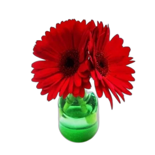 flower, bottle, crown, weapon, photorealistic, 3d render, red, green transparent PNG cut-out