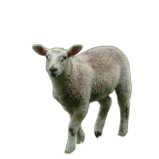 animal, creature, staff, face, 3d render, photorealistic, concept art, pixel art transparent PNG cut-out