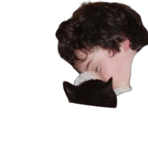 mask, face, animal, hat, photorealistic, vaporwave, pixel art, watercolor transparent PNG cut-out
