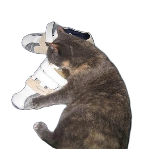 shoes, hat, mask, bottle, photorealistic, 3d render, vaporwave, concept art transparent PNG cut-out