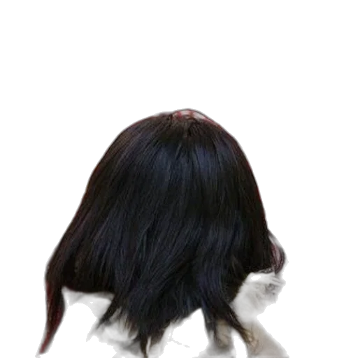 hair, hat, animal, crown, photorealistic, 3d render, concept art, anime transparent PNG cut-out