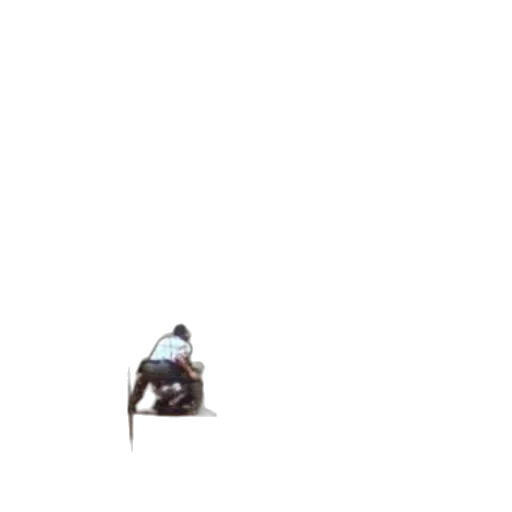 animal, staff, robot, creature transparent PNG cut-out