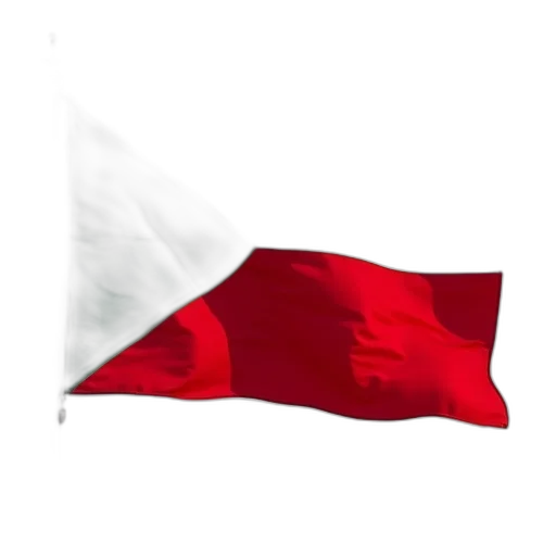 staff, hat, crown, weapon, 3d render, red, flag, green transparent PNG cut-out