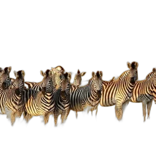 animal, creature, staff, jewelry, 3d render, concept art, photorealistic, herd transparent PNG cut-out