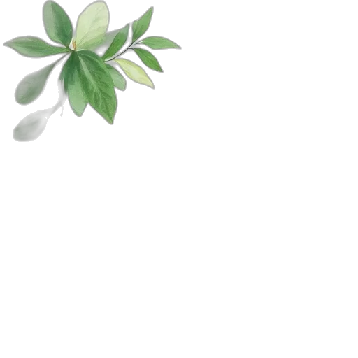 flower, weapon, crown, staff transparent PNG cut-out