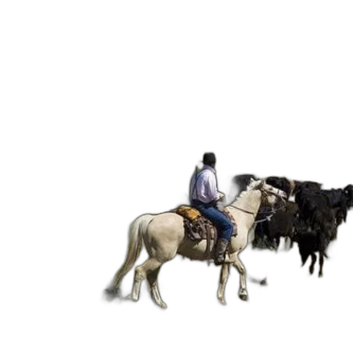 animal, staff, weapon, car, concept art, 3d render, photorealistic, cowboy transparent PNG cut-out