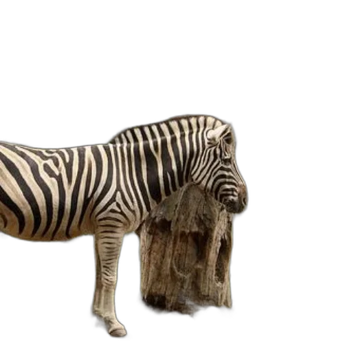 animal, creature, weapon, furniture, 3d render, photorealistic, concept art, earth tones transparent PNG cut-out