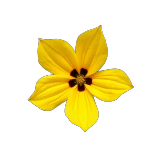 flower, crown, jewelry, staff, 3d render, photorealistic, pixel art, oil painting transparent PNG cut-out