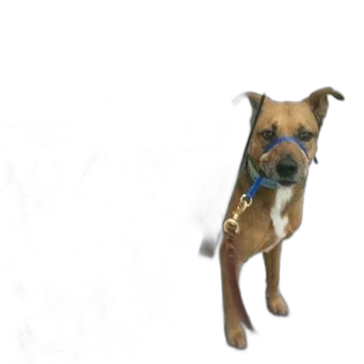 staff, animal, creature, photorealistic, 3d render, concept art, dog, stands transparent PNG cut-out
