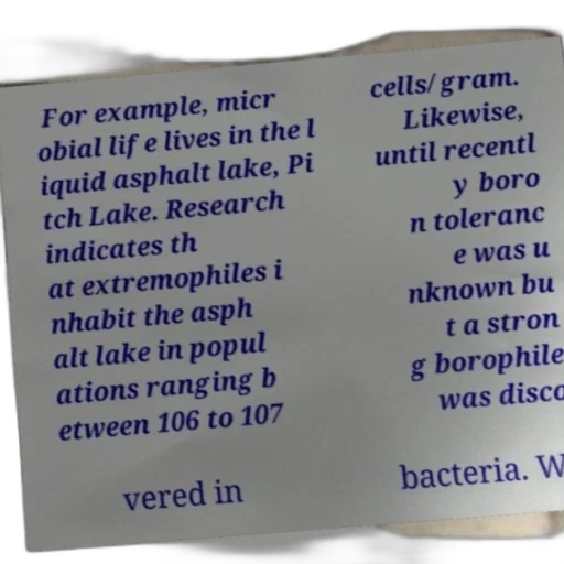 bottle, text-based, image, discussing, extremophiles, asphalt, lake, focus transparent PNG cut-out