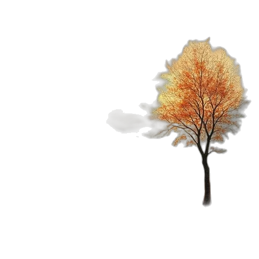 tree, crown, flower, umbrella transparent PNG cut-out