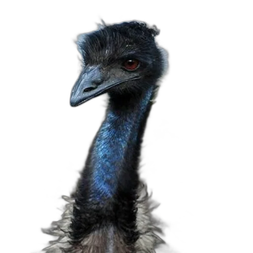 animal, creature, face, staff, photorealistic, 3d render, concept art, close-up transparent PNG cut-out
