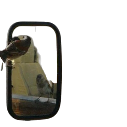 car, furniture, robot, staff, 3d render, bird, perches, side transparent PNG cut-out