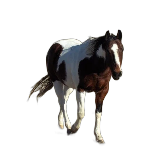 animal, creature, staff, hair, photorealistic, 3d render, concept art, oil painting transparent PNG cut-out