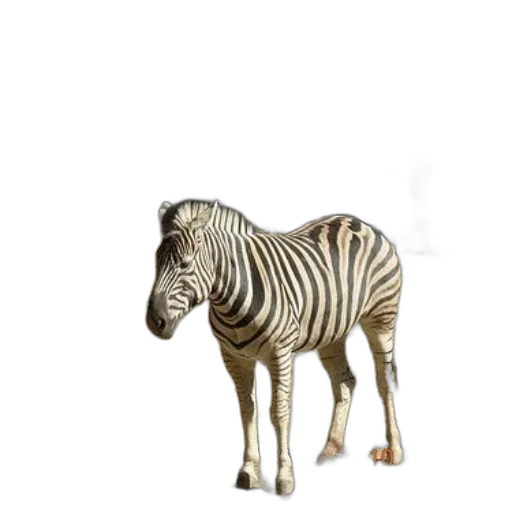 animal, creature, furniture, staff, 3d render, concept art, photorealistic, watercolor transparent PNG cut-out