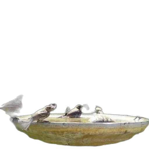 food, jewelry, crown, photorealistic, 3d render, oil painting, concept art, underwater transparent PNG cut-out