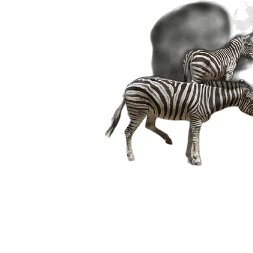 animal, creature, dragon, robot, 3d render, concept art, photorealistic, fantasy art transparent PNG cut-out