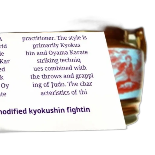 modified, kyokushin, fighting, style, combines, oyama, karate, striking transparent PNG cut-out