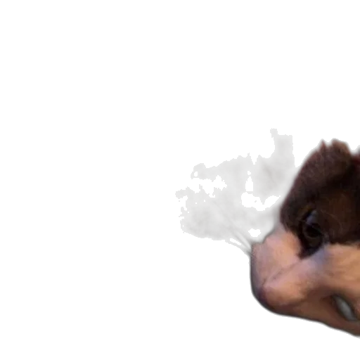 animal, creature, dragon, face, photorealistic, 3d render, concept art, fire transparent PNG cut-out
