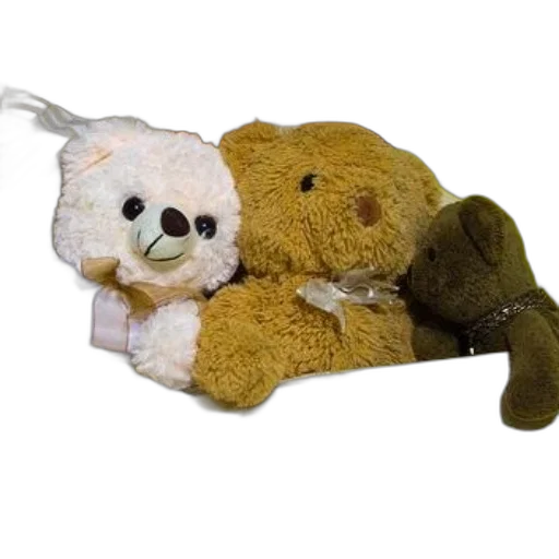 staff, three, stuffed, bears, sitting, bed, floral, comforter transparent PNG cut-out