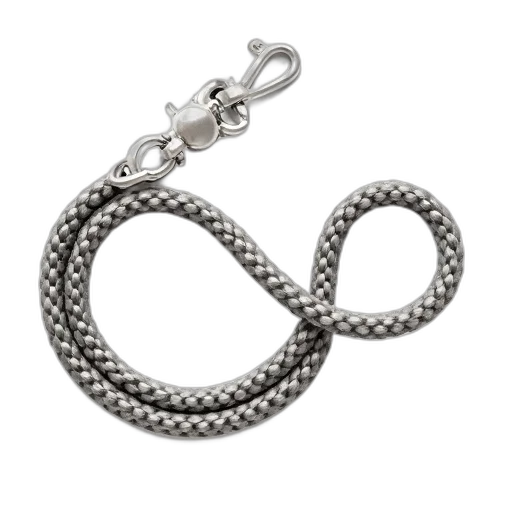 jewelry, crown, staff, coiled, metal, chain, silver, buckle transparent PNG cut-out