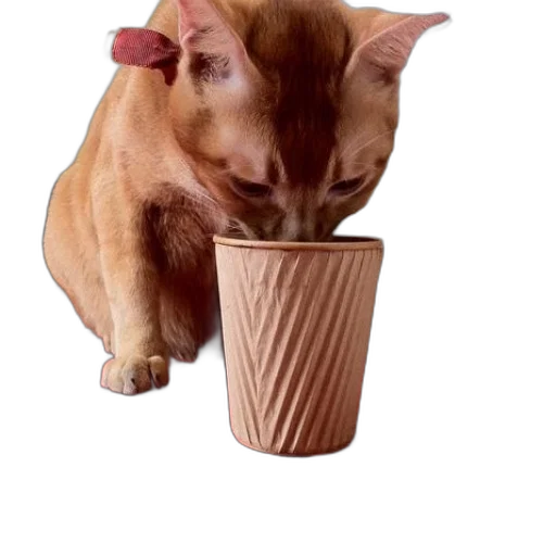 animal, food, creature, staff, photorealistic, 3d render, vaporwave, ginger transparent PNG cut-out
