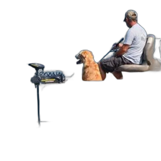furniture, staff, animal, shoes, concept art, photorealistic, 3d render, oil painting transparent PNG cut-out