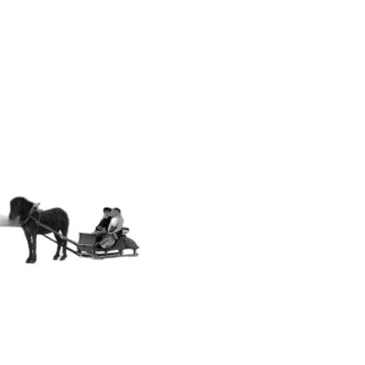 shoes, animal, furniture, staff transparent PNG cut-out