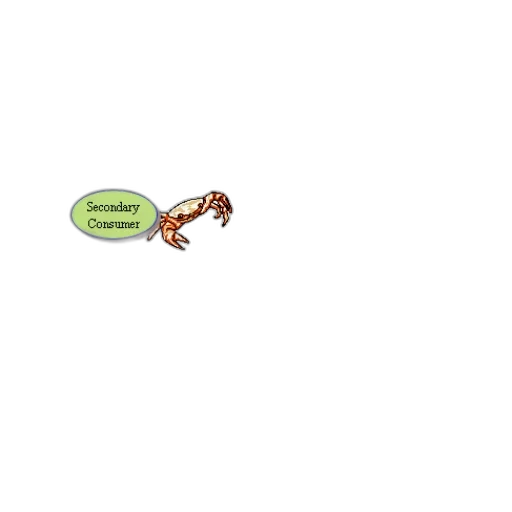 animal, creature, dragon, food, pixel art, concept art, 3d render, cartoon transparent PNG cut-out
